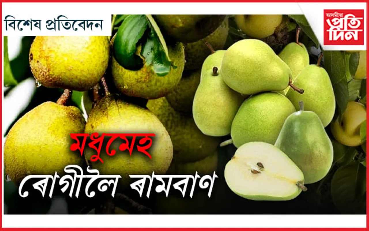 ডায়েবেটিছ পলাব! নাচপতি যেতিয়া পেটত পৰিব...